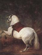 A White Horse (df01) Diego Velazquez
